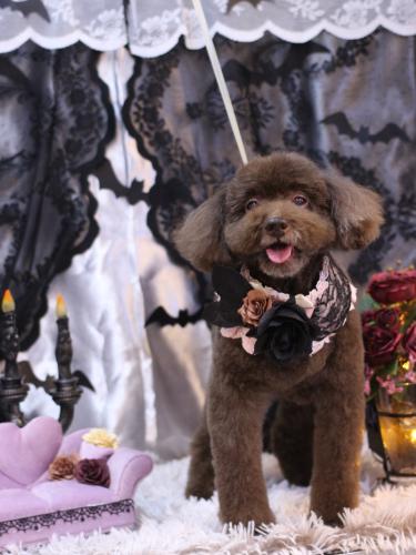 20231008杏ちゃん